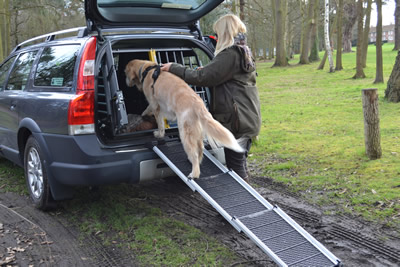 dog ramp