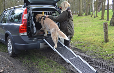 dog ramp